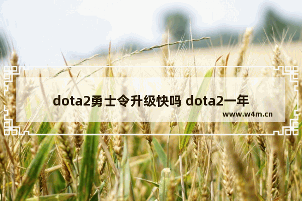 dota2勇士令升级快吗 dota2一年几个勇士令状