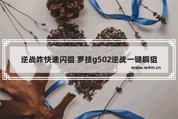 逆战咋快速闪狙 罗技g502逆战一键瞬狙怎么设置