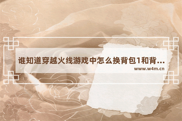 谁知道穿越火线游戏中怎么换背包1和背包2的枪啊 cf手游按键怎么自定义设置