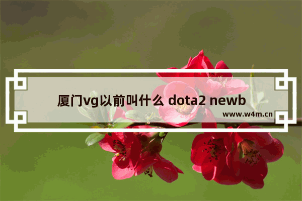 厦门vg以前叫什么 dota2 newbee vg