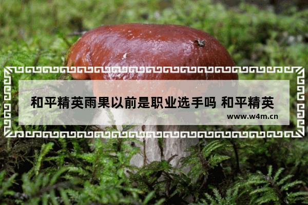 和平精英雨果以前是职业选手吗 和平精英 弈成