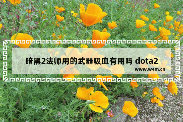 暗黑2法师用的武器吸血有用吗 dota2流浪剑客最强出装