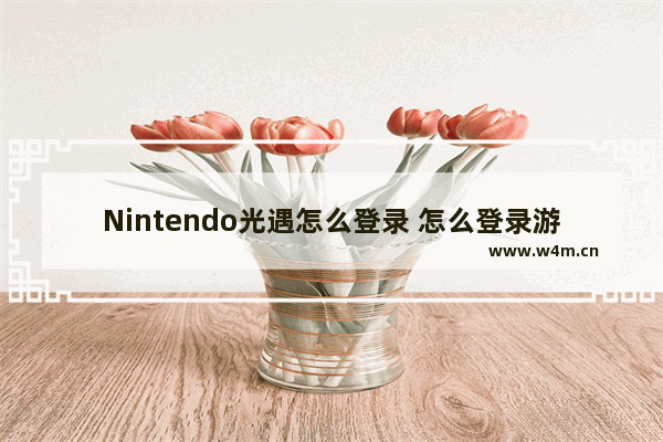 Nintendo光遇怎么登录 怎么登录游戏光遇