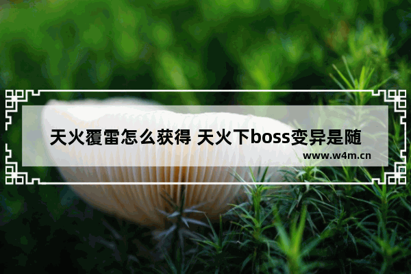 天火覆雷怎么获得 天火下boss变异是随机的吗