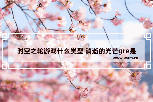 时空之轮游戏什么类型 消逝的光芒gre是什么