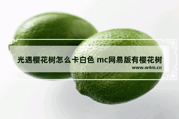 光遇樱花树怎么卡白色 mc网易版有樱花树怎么找