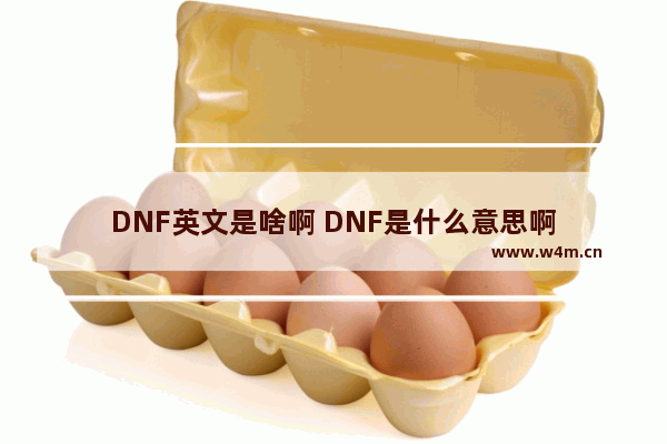 DNF英文是啥啊 DNF是什么意思啊