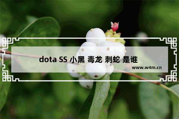 dota SS 小黑 毒龙 刺蛇 是谁 dota2 小黑是谁