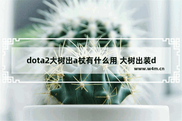 dota2大树出a杖有什么用 大树出装dota2