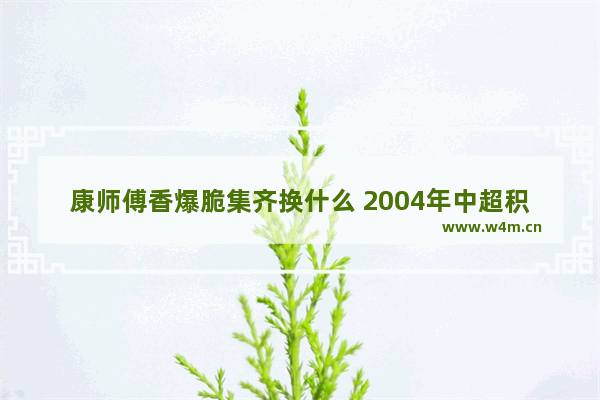 康师傅香爆脆集齐换什么 2004年中超积分榜