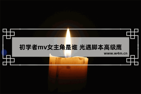 初学者mv女主角是谁 光遇脚本高级鹰