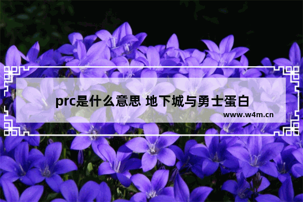 prc是什么意思 地下城与勇士蛋白