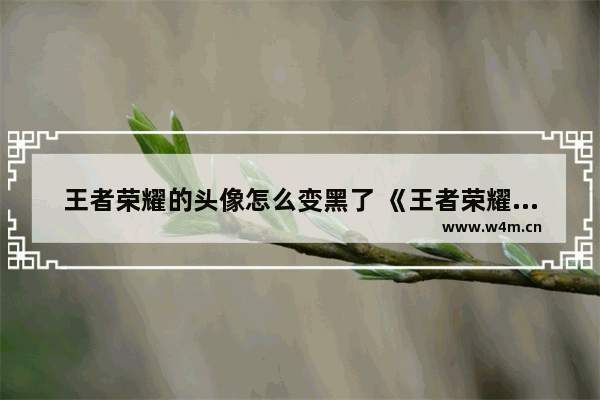 王者荣耀的头像怎么变黑了 《王者荣耀》如何设置五黑头像