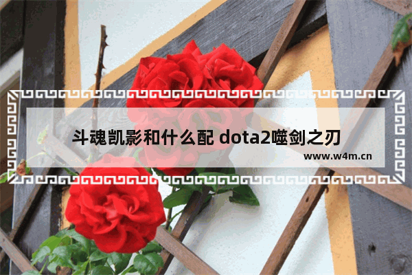 斗魂凯影和什么配 dota2噬剑之刃