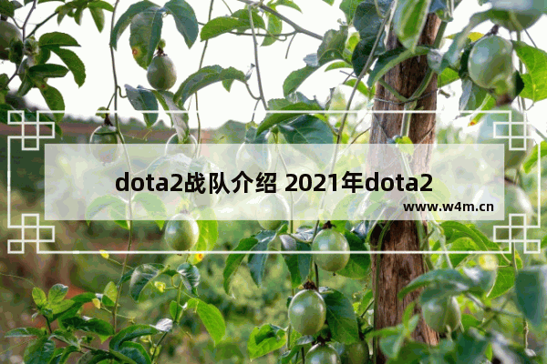 dota2战队介绍 2021年dota2各大赛区队伍