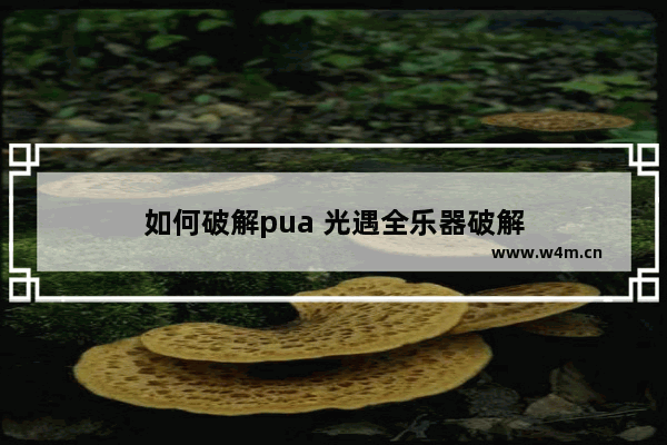 如何破解pua 光遇全乐器破解