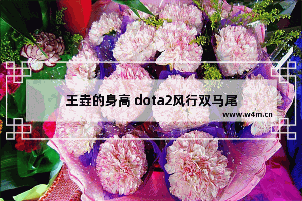 王垚的身高 dota2风行双马尾