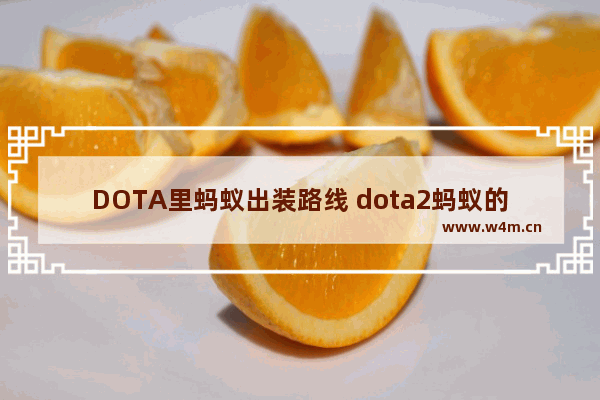 DOTA里蚂蚁出装路线 dota2蚂蚁的大招