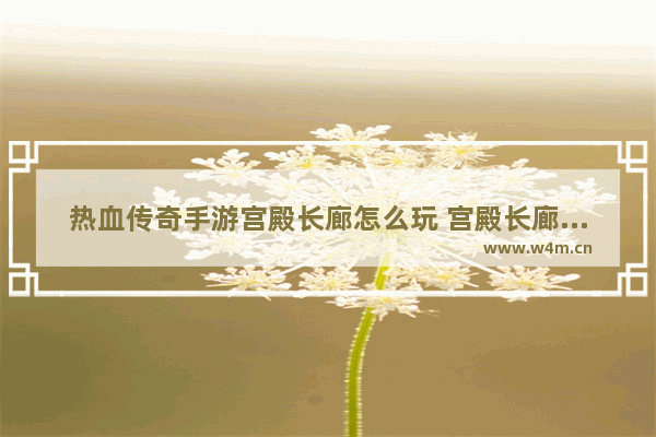 热血传奇手游宫殿长廊怎么玩 宫殿长廊通关攻略 地下城与勇士长廊