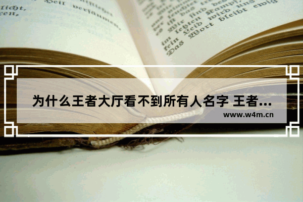 为什么王者大厅看不到所有人名字 王者荣耀怎么没名字