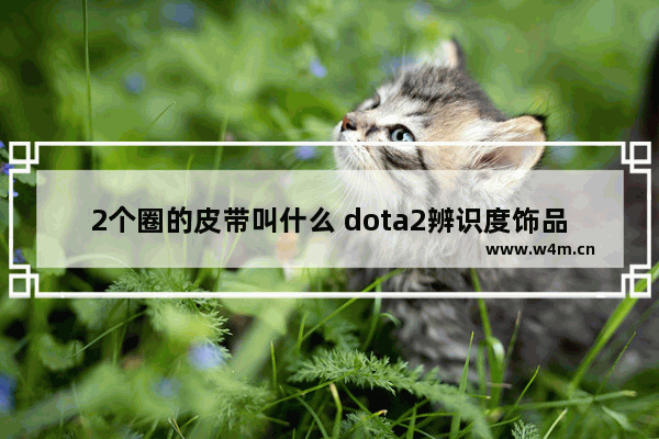 2个圈的皮带叫什么 dota2辨识度饰品