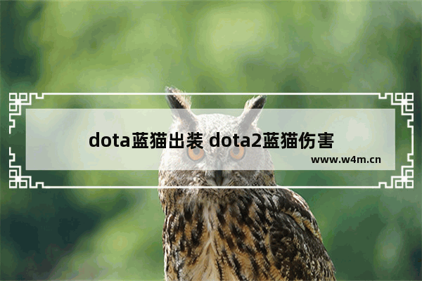 dota蓝猫出装 dota2蓝猫伤害