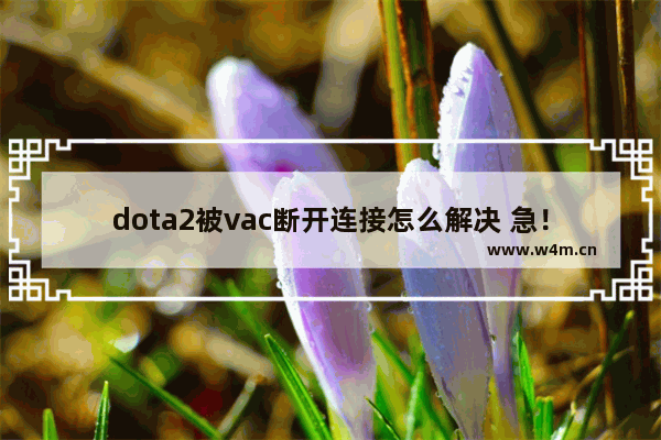 dota2被vac断开连接怎么解决 急！CSGO国际服无法匹配弹出“VAC无法验证您的游戏会话”