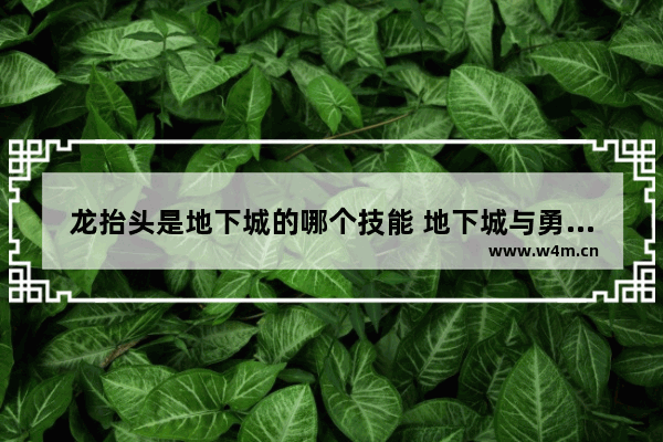 龙抬头是地下城的哪个技能 地下城与勇士苍鹰