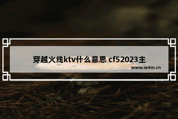 穿越火线ktv什么意思 cf52023主题标语是什么