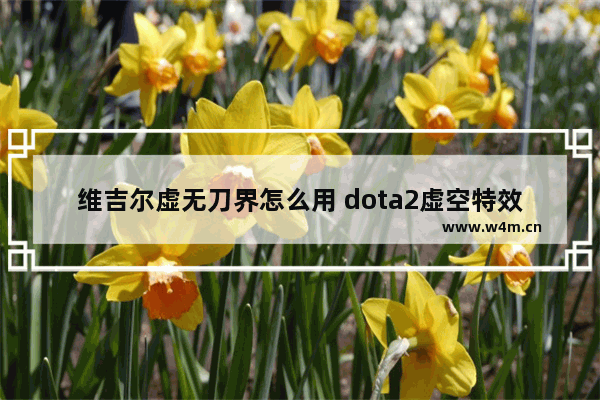 维吉尔虚无刀界怎么用 dota2虚空特效吗