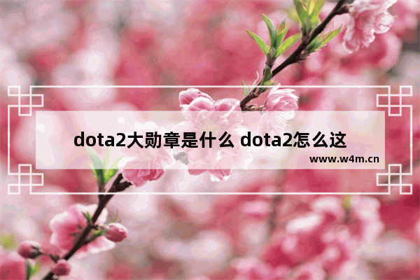 dota2大勋章是什么 dota2怎么这么大