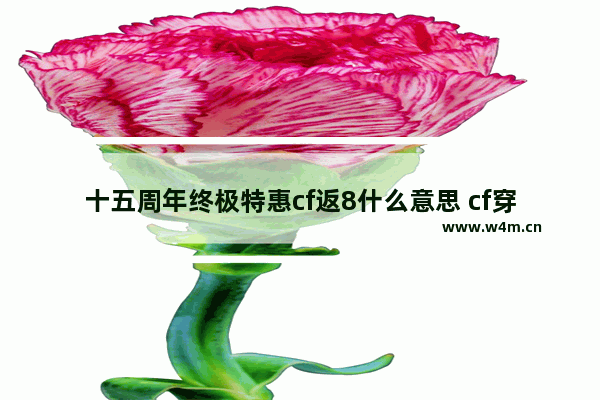 十五周年终极特惠cf返8什么意思 cf穿越火线庆典