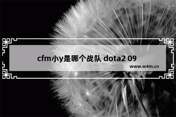 cfm小y是哪个战队 dota2 09 名字是