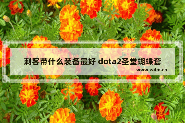 刺客带什么装备最好 dota2圣堂蝴蝶套