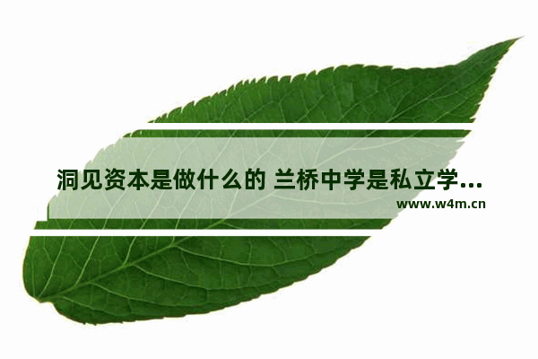 洞见资本是做什么的 兰桥中学是私立学校吗