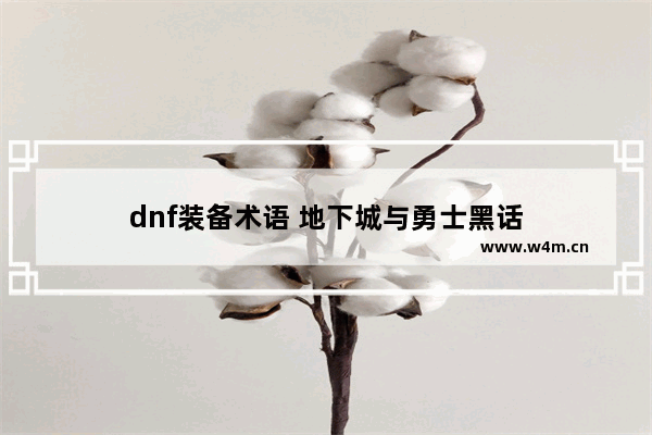 dnf装备术语 地下城与勇士黑话