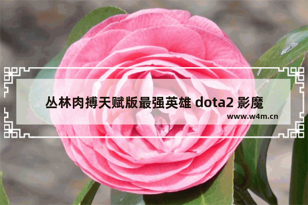 丛林肉搏天赋版最强英雄 dota2 影魔天赋