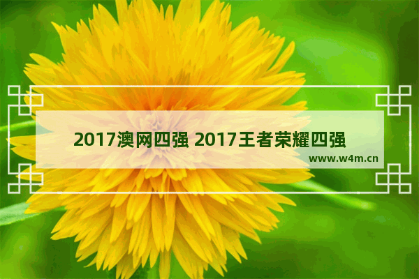 2017澳网四强 2017王者荣耀四强