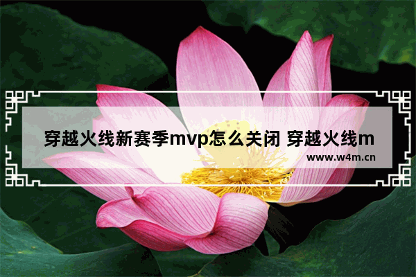 穿越火线新赛季mvp怎么关闭 穿越火线mvp类似