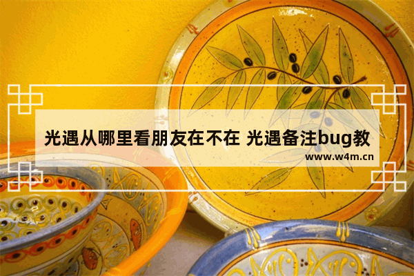 光遇从哪里看朋友在不在 光遇备注bug教程