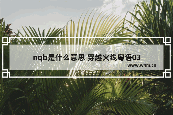 nqb是什么意思 穿越火线粤语03