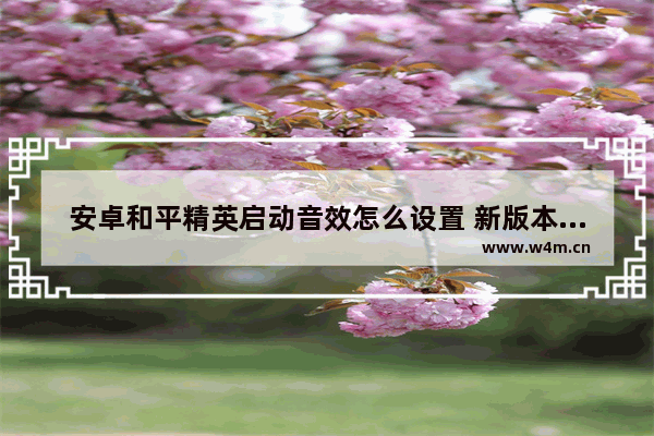 安卓和平精英启动音效怎么设置 新版本和平精英声音设置怎么设置