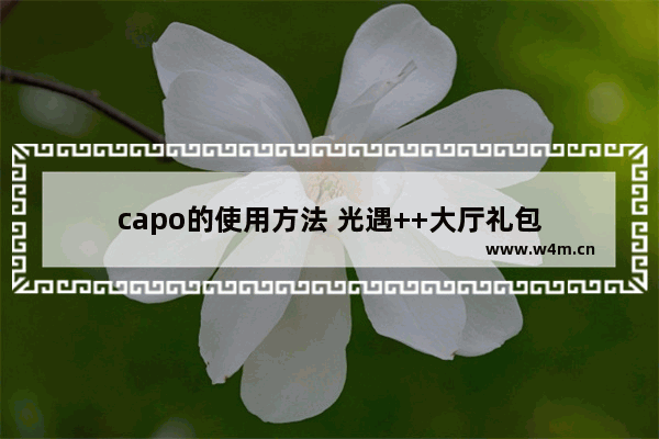 capo的使用方法 光遇++大厅礼包