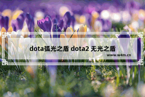 dota弧光之盾 dota2 无光之盾