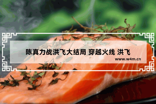 陈真力战洪飞大结局 穿越火线 洪飞