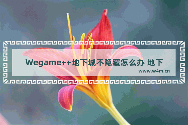 Wegame++地下城不隐藏怎么办 地下城与勇士监控