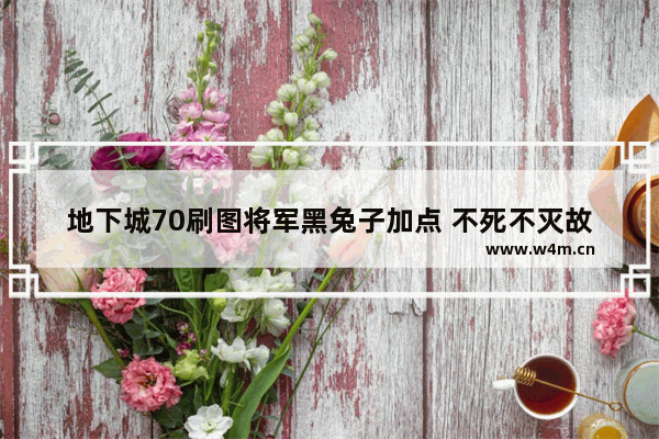 地下城70刷图将军黑兔子加点 不死不灭故事梗概