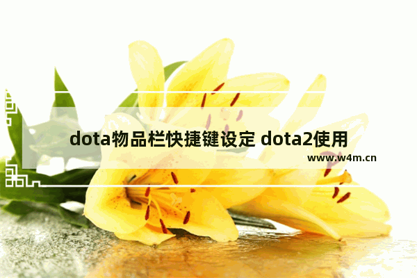 dota物品栏快捷键设定 dota2使用物品栏