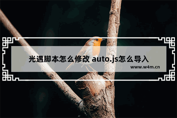 光遇脚本怎么修改 auto.js怎么导入光遇脚本