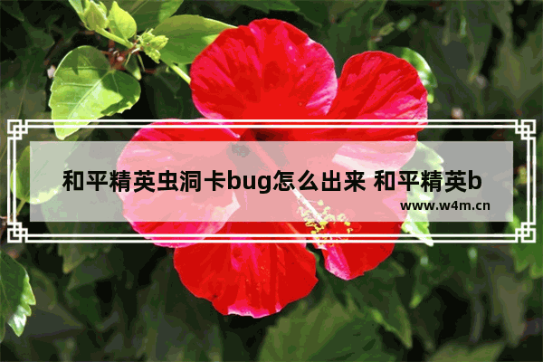 和平精英虫洞卡bug怎么出来 和平精英bug王